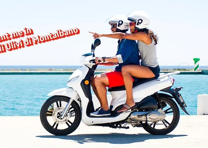 Gli Ulivi Di Montalbano